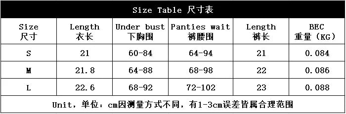 Women Sexy Lace Erotic Set Thin See Through Underwear Elegant Ladies Lingerie Bra Set Embroidery Sexy Costumes1621